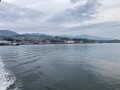 IMG_2515.jpg