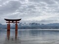 IMG_2539.jpg
