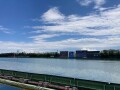 IMG_2590.jpg