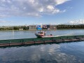 IMG_2599.jpg