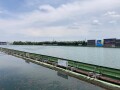 IMG_2630.jpg