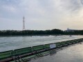 IMG_2639.jpg