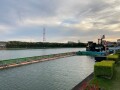 IMG_2815.jpg