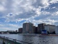 IMG_2873.jpg