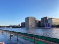 IMG_2906.jpg