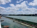 IMG_2939.jpg