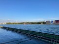 IMG_2970.jpg