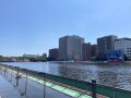 IMG_2988.jpg