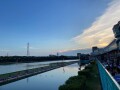 IMG_3005.jpg