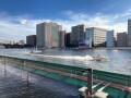 IMG_3087.jpg