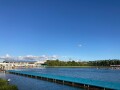IMG_3314.jpg