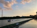 IMG_3331.jpg