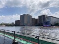 IMG_3352.jpg