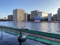 IMG_3378.jpg