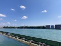 IMG_3786.jpg