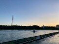 IMG_3799.jpg