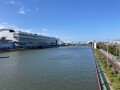 IMG_4037.jpg