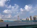 IMG_4216.jpg IMG_4216.jpg