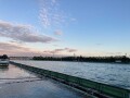 IMG_4354.jpg