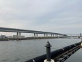 IMG_4402.jpg