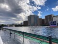 IMG_4481.jpg