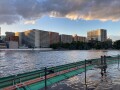 IMG_4487.jpg