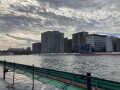 IMG_4540.jpg