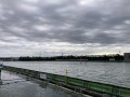IMG_4566.jpg