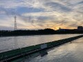 IMG_4851.jpg