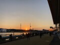 IMG_5102.jpg IMG_5102.jpg