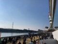 IMG_5173.jpg