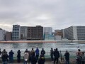 IMG_5240.jpg
