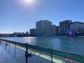 IMG_5265.jpg