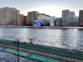 IMG_5273.jpg