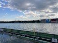 IMG_5283.jpg