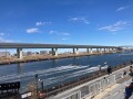 IMG_5635.jpg