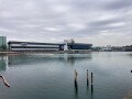 IMG_5700.jpg IMG_5700.jpg