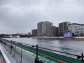 IMG_5798.jpg