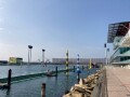 IMG_5951.jpg IMG_5951.jpg