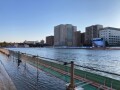 IMG_6356.jpg IMG_6356.jpg