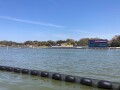 IMG_6760.jpg IMG_6760.jpg