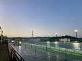 IMG_6932.jpg