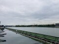 IMG_6972.jpg
