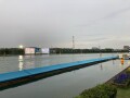 IMG_6979.jpg