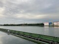 IMG_7019.jpg