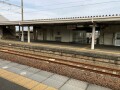 IMG_7594.jpg