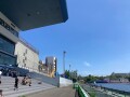 IMG_7649.jpg