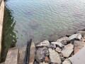 IMG_7752.jpg IMG_7752.jpg