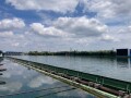 IMG_7919.jpg