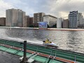 IMG_8260.jpg